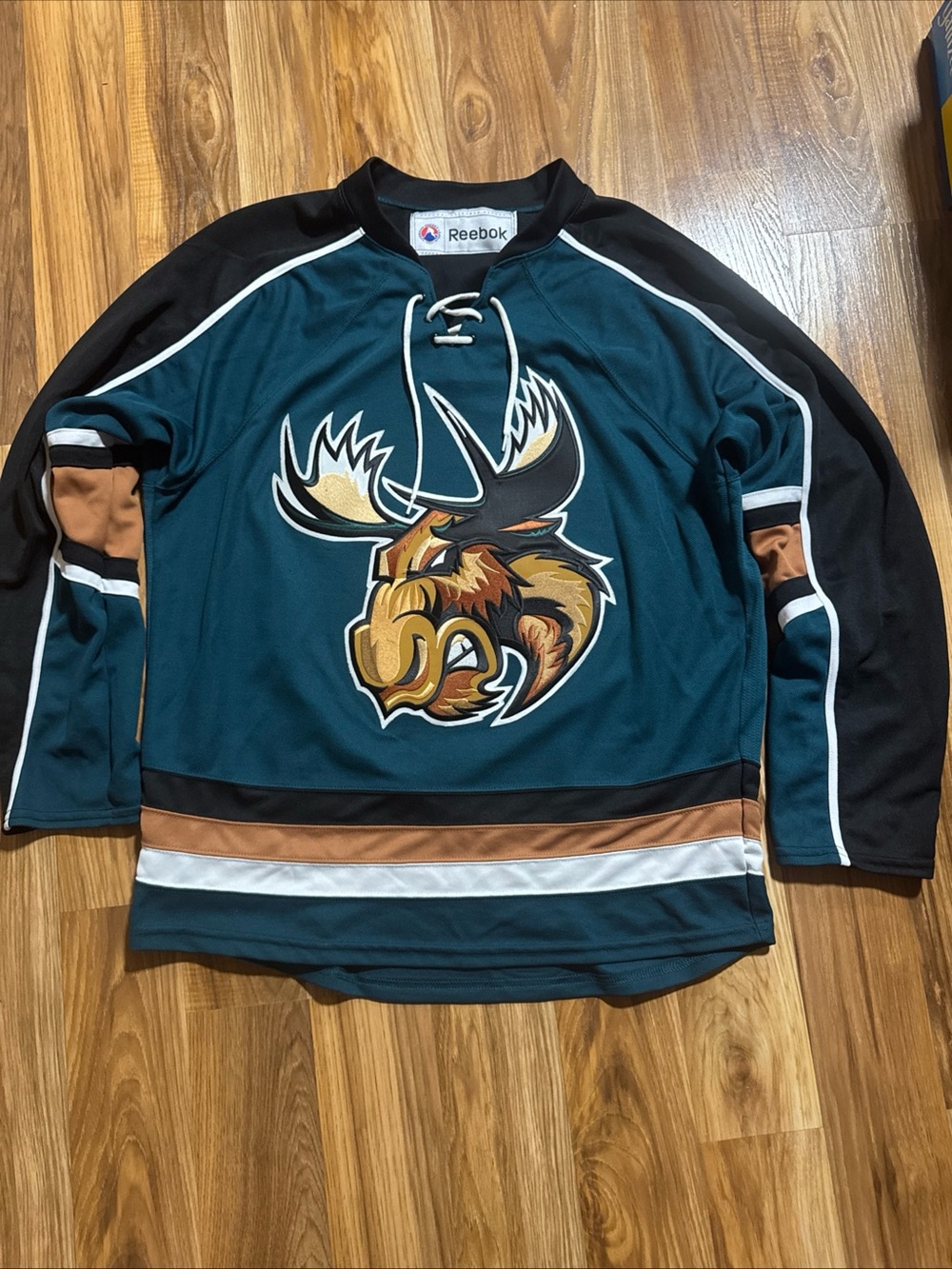 VINTAGE KIDS MANITOBA MOOSE HOCKEY JERSEY L/XL AHL REEBOK CCM
